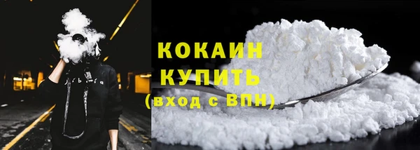 PSILOCYBIN Бородино