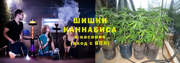 PSILOCYBIN Бородино