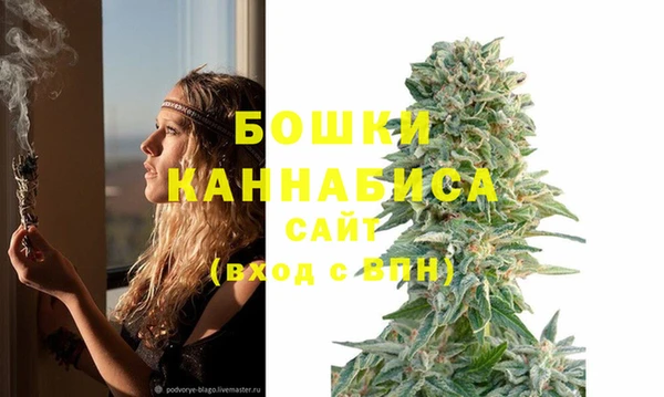 PSILOCYBIN Бородино