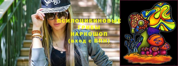 PSILOCYBIN Бородино