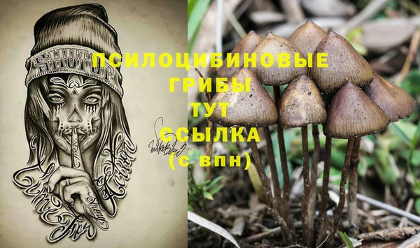 круглые Бронницы