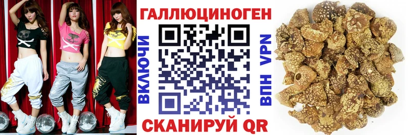 Псилоцибиновые грибы MAGIC MUSHROOMS  как найти наркотики  сайты даркнета Telegram  Владимир 